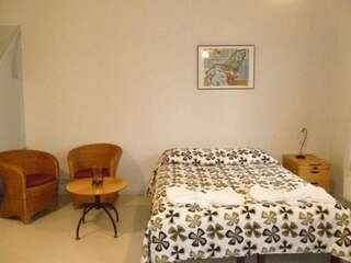 Отель Summer Hotel Villa Aria Савонлинна Улучшенный двухместный номер с 1 кроватью-3